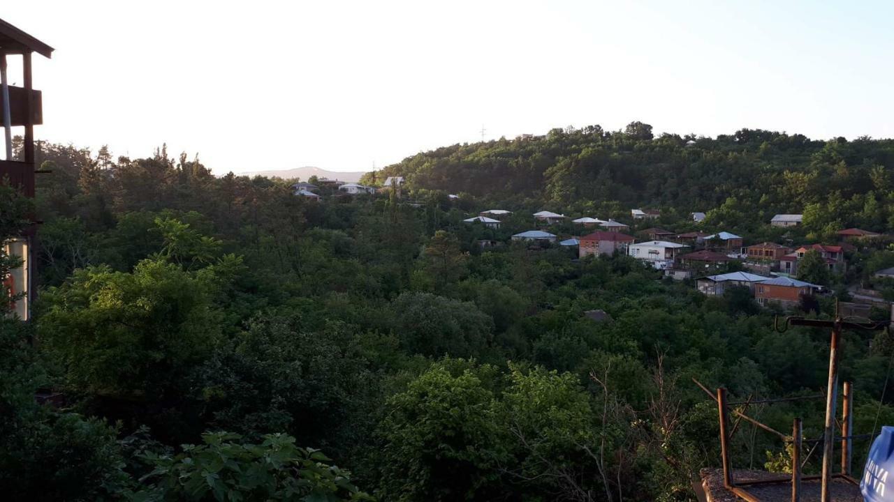 Icity Kutaisi Luaran gambar